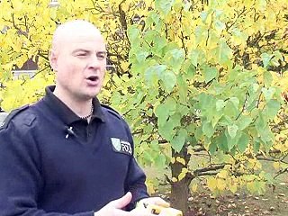 A Taser stun gun in action