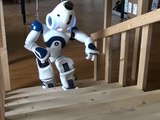 Nao humanoid robot climbing stairs