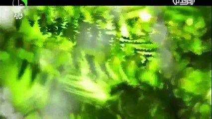 مصطفى الربيعي +محمد الحلفي   كولو انتعنه