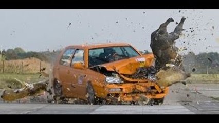 Caught on Camera: Animals Crash Compilation 2014