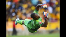 South Africa goalkeeper Senzo Meyiwa shot dead