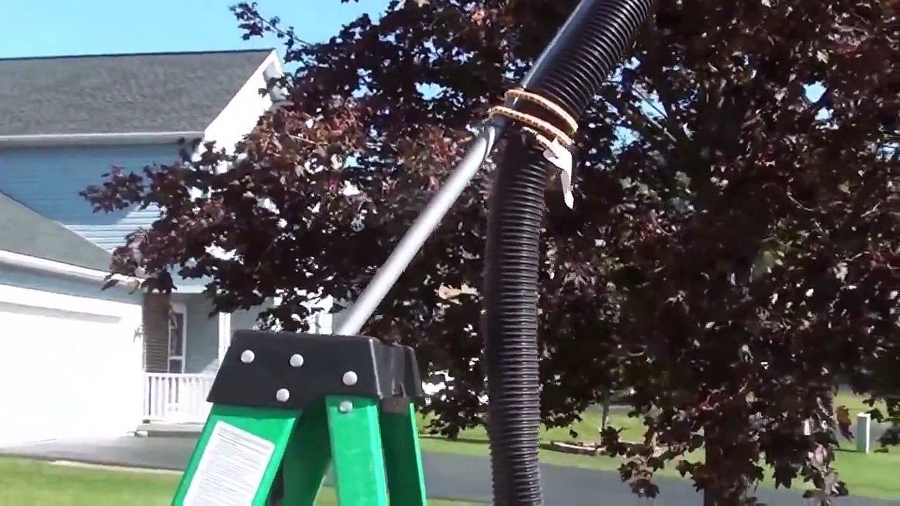 (R-Rated) Shop Vac + Yellow Jackets / Wasp Removal / Extermination Tutorial / How To