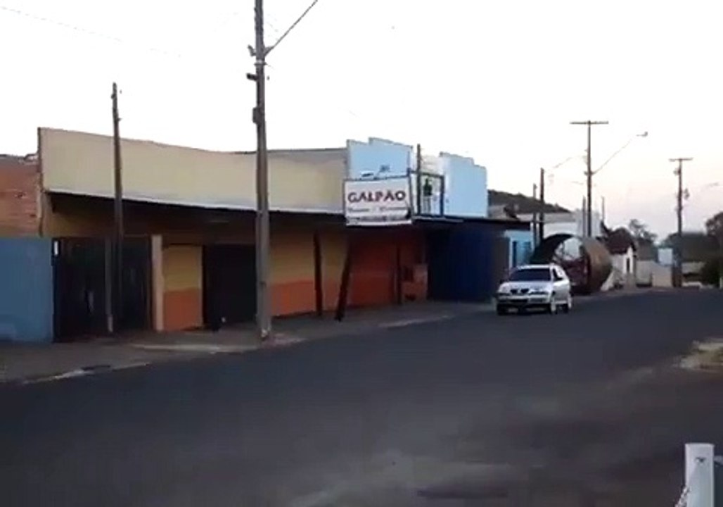 DOG DRIVES LIKE HES THE BOSS
