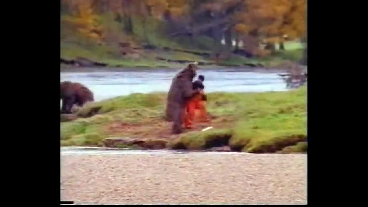 Bear Attack, Animal Fighting Videos Compilation