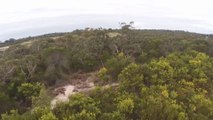 (Slow-Mo) 2m Wedge-Tailed Eagle takes down Drone - Australia (Eagle is Fine)