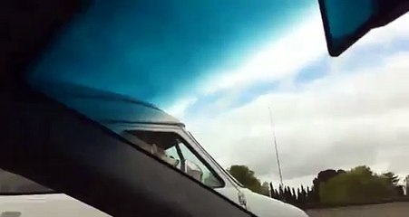 DOGGY CLAIMING SHOTGUN