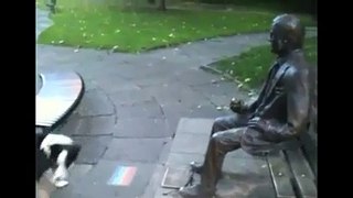 DOG TRIES TO PLAY FETCH WITH A STATUE !