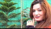 Za Ka Bewafa Shoma No Pashto New Songs & Dance Album 2015 Zarka Da Kabul Yam