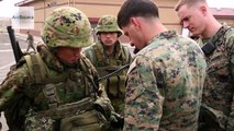 U.S. Marines, Japan Self-Defense Force Conduct Fire-Support Exercises