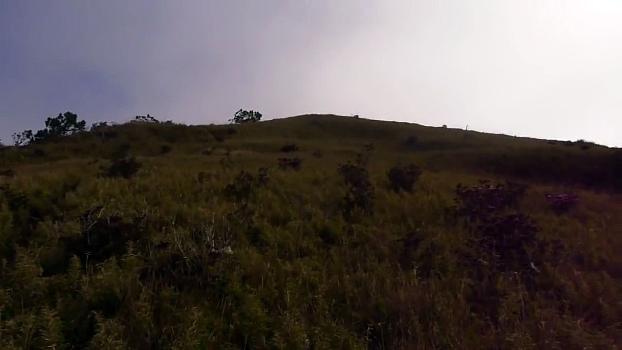 Mount Pulag via Akiki Trail: Curtain and Sea of Clouds