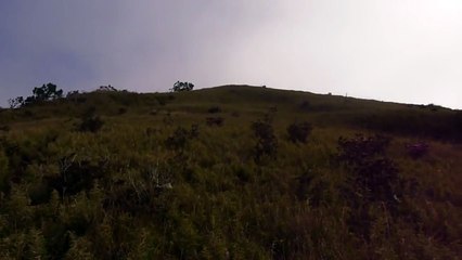 Mount Pulag via Akiki Trail: Curtain and Sea of Clouds