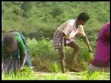 Navagni - Biomass Fuel Stove - Hindi version