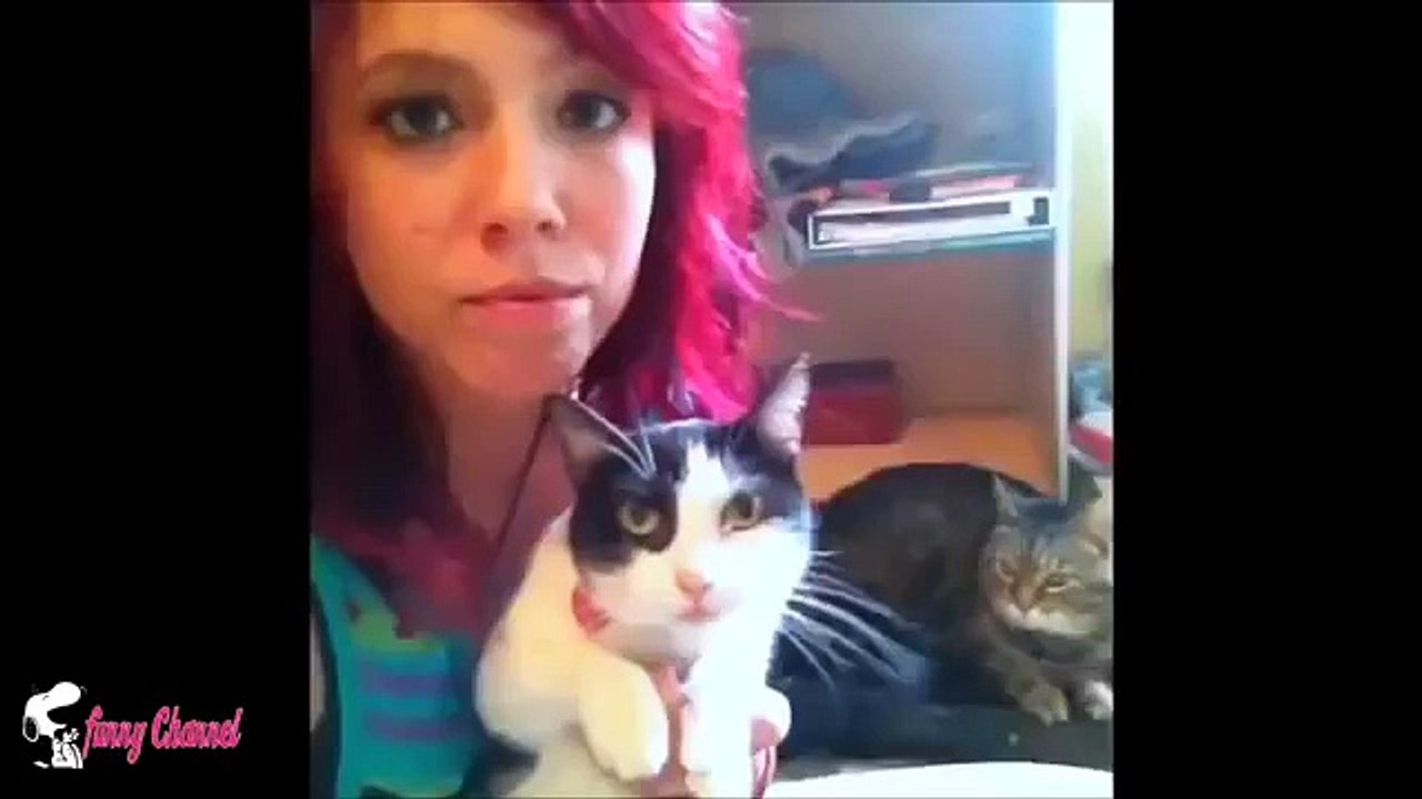 Best-Funny-Cats-Videos-Compilation---Try-Not-To-Laugh