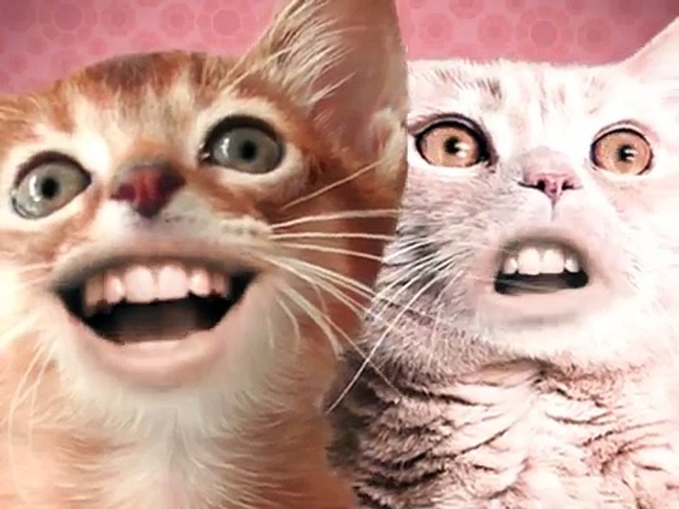 Singing-Cats