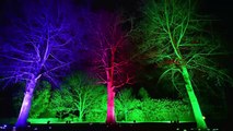 Christmas at Kew 2014 - a Glittering Illuminated Trail through Kew Gardens