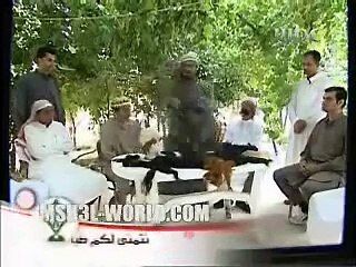 عربي