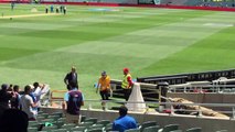 Brett lee at adelaide oval during india vs pakistan world cup match 2015