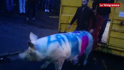 Morlaix. Les éleveurs à la sous-préfecture