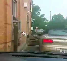 Guy falls out of car at McDonald's drive-thru