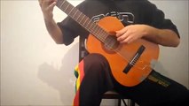 Howl Moving Castle - Merry go round of Life - Guitar Play