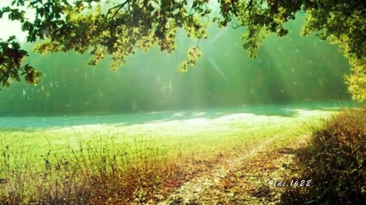 Richard Clayderman  &  Francis Goya  -  Bilitis