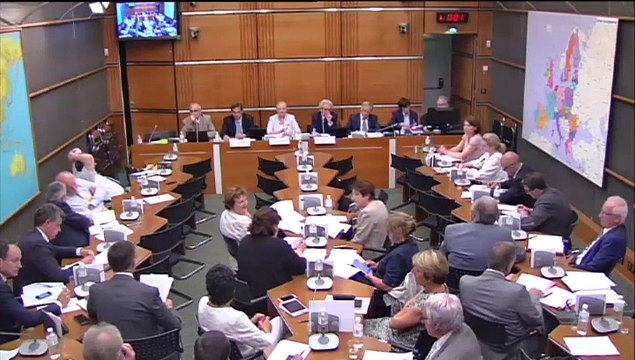 07.07.2015: Commission du Développement Durable - Maladie de la vigne et du bois (rapport d'information)