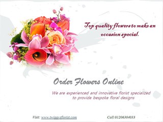 Florist Clacton On Sea Twiggy's Florist