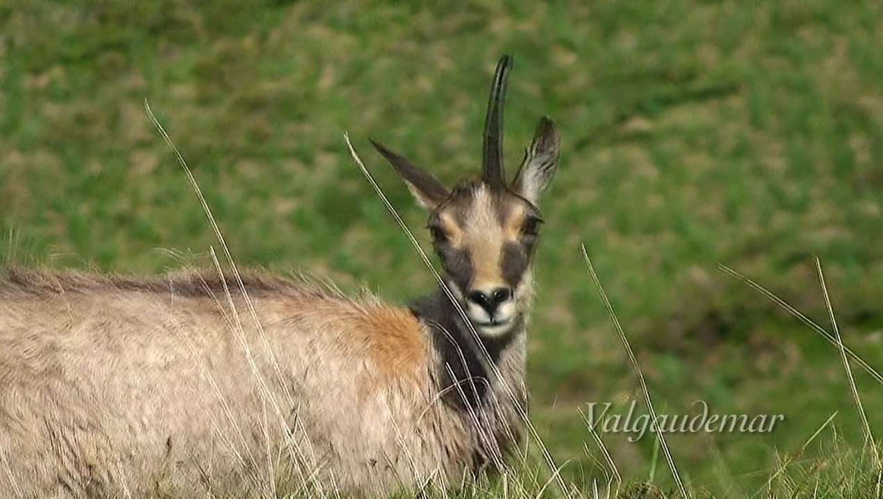 Le Valgaudemar (3ème partie), cascades, lacs, Gioberney.