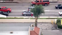 LiveLeak - Police Chase - Suspect Steals BMW, then Tries to Flee on Skateboard-copypasteads.com