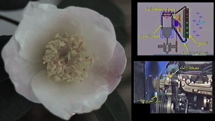 自動車エンジンの冷却系を解析！