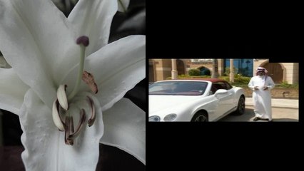 中東の大富豪が所有する高級車がスゴすぎる！ ランボルギーニ ポルシェ ベンツ