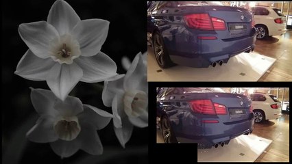 新型ドイツ製スポーツカーのエキゾーストノートがスゴい！