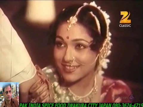 Tere Liye Palkon Ki Jhalar Bunoon-Lata Mangeshkar +HD スパイスハラルフード　岩倉市 ジャパンjapan halal food spice