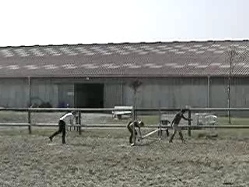 DSCN1814