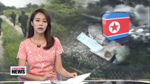 N. Korea denies role in DMZ mine attack