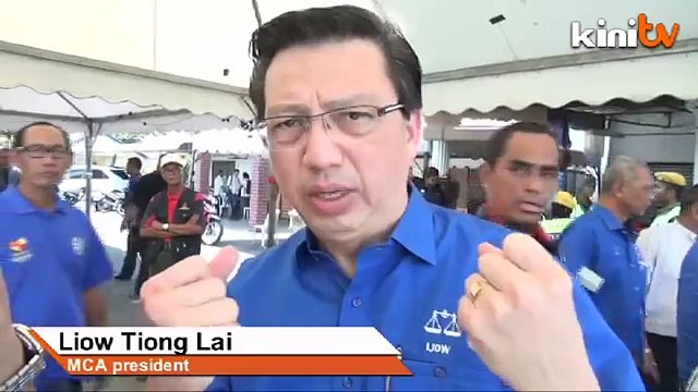 Liow: Decision on gov't posts sign of unity in MCA