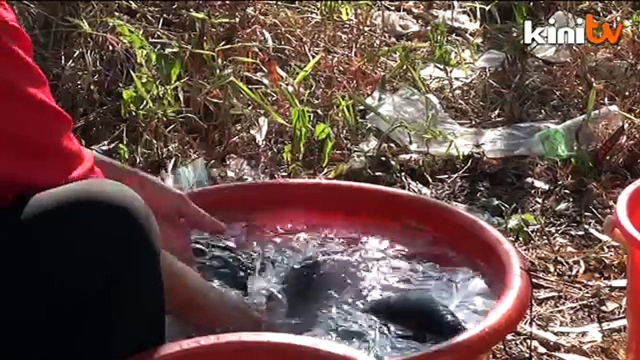 无水十四天Syabas拒对话 无拉港居民怒吼抗议