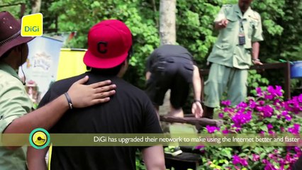 DiGi Extended Family Road Trip