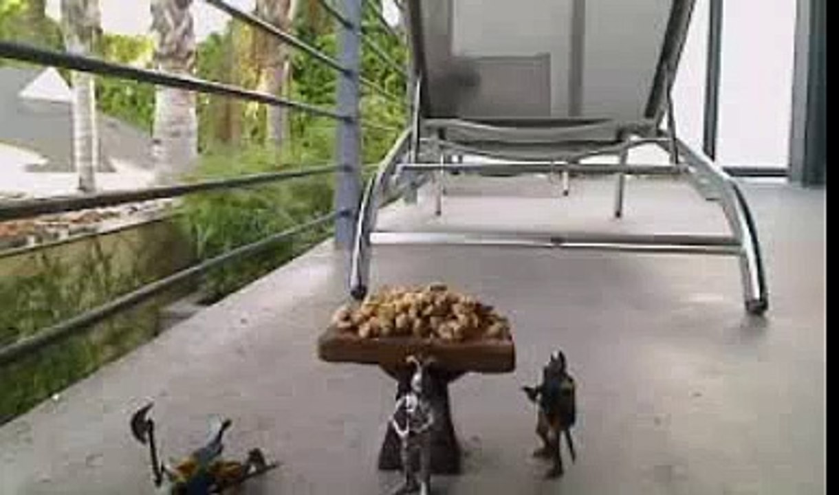 Funny Squirrel Thief Steals Food from Medieval Guards!