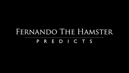 Fernando the Hamster: Group F 16 June - Argentina VS Bosnia and Herzegovina