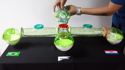 Fernando the Hamster: Brazil VS Croatia