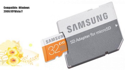 Samsung Carte Mémoire EVO Micro SD Classe 10 32 Go 1
