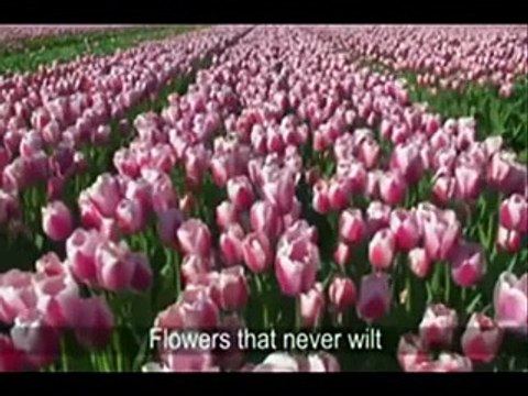 Khuda Kary Poetry|Pakistan Poetry|14th August| Youm e azad|Pakistan Poetry|Pakistan|14th aguest promo|Rj Adeel|