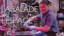À bord de l’ISS, on déguste des salades extraterrestres