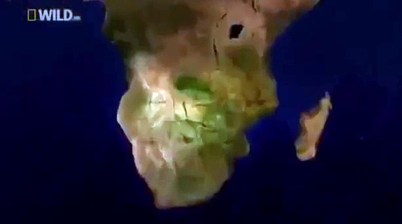 Discovery Channel:Animal Plant Program Video Full HD