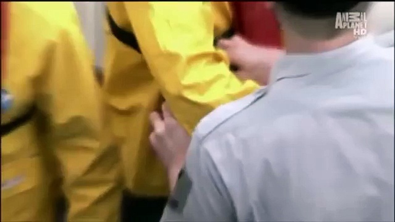 Animal Planet Mermaids the Body Found part 6 of 6