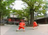 Shaolin Temple India Shifu Kanishka Training Akshay Kumar in Shaolin Kungfu