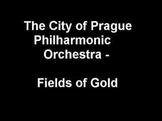 The City of Prague Philharmonic Orchestra - Fields of Gold