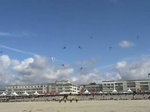 Cerf-volant Berck 2006 Tame Bird