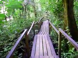 Semuc Champey, Cobán Alta Verapaz, turismo de aventura en gatemala por ONCA. www.onca.com.gt